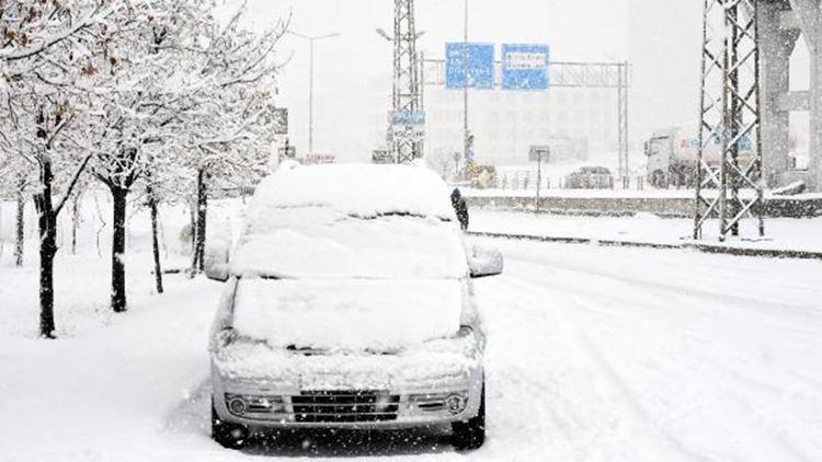 Bitlisliler kar yağışına sevindi