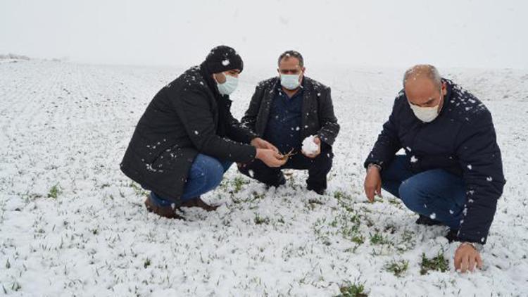 Kar yağışıyla yüzü gülen çiftçi: Emeklerimiz beyaz altın ile buluştu