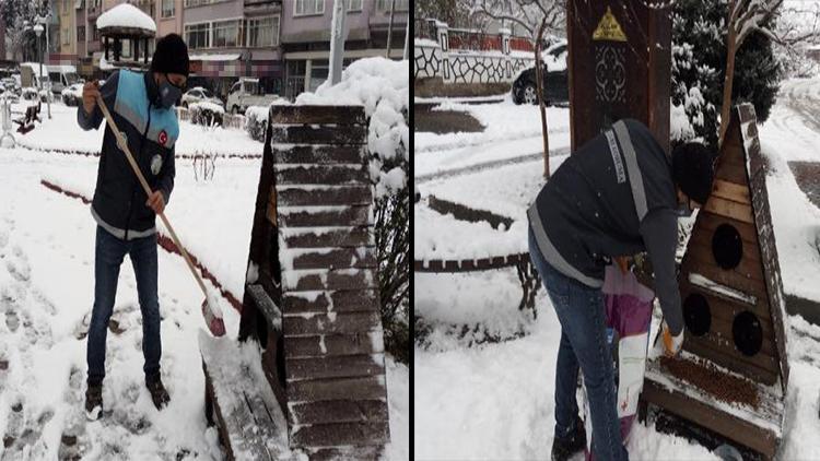 Dursunbeyde kar yağışının ardından sokak hayvanları unutulmadı