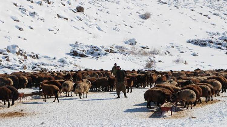 Yaylada kar yüzünden mahsur kalan besici ve 250 hayvanı kurtarıldı