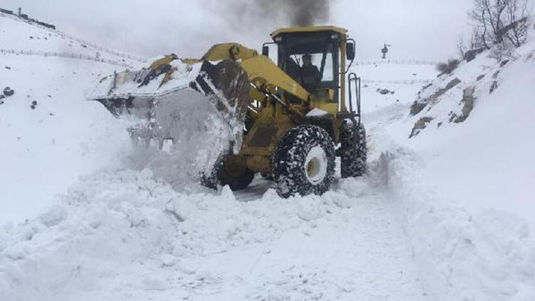 Şırnakta 17 köy ve 5 mezra yolu kardan kapandı