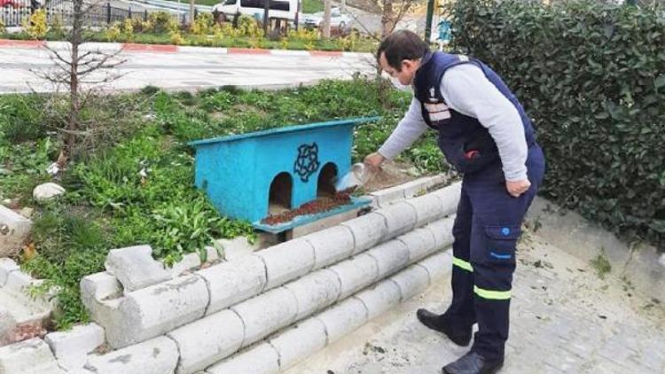 Süleymanpaşada sokak hayvanlarına yeni barınma alanları kuruluyor