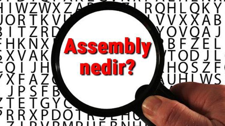 Assembly nedir Assembly programlama dili hakkında bilgi