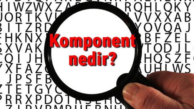 Komponent nedir Komponent ne demek Komponent TDK kelime anlamı