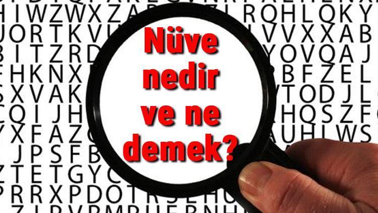 Nüve nedir ve ne demek Nüve çeşitleri ve kullanım alanları