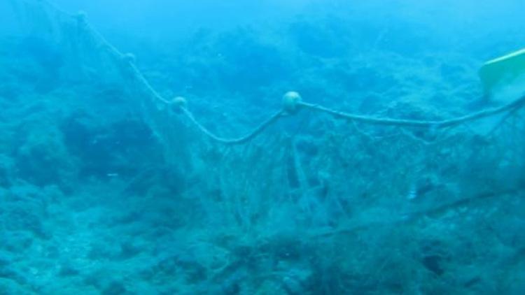 Denizdeki hayalet ağlar, 600 yıl avlanıyor