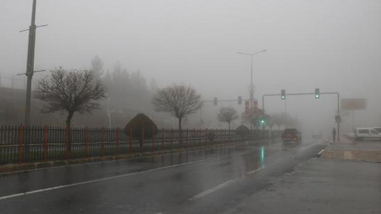 Mardinde yoğun sis
