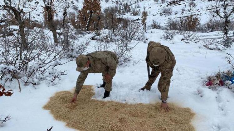 Jandarma yaban hayvanları için doğaya yem bıraktı