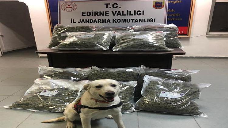 Edirne’de 4 milyonluk uyuşturucuyu narkotik köpeği ‘Taklit’ buldu