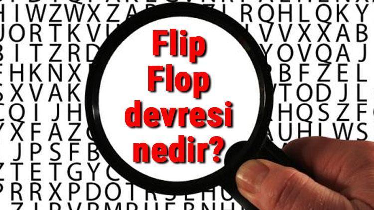Flip Flop devresi nedir Flip Flop devresi örnekleri