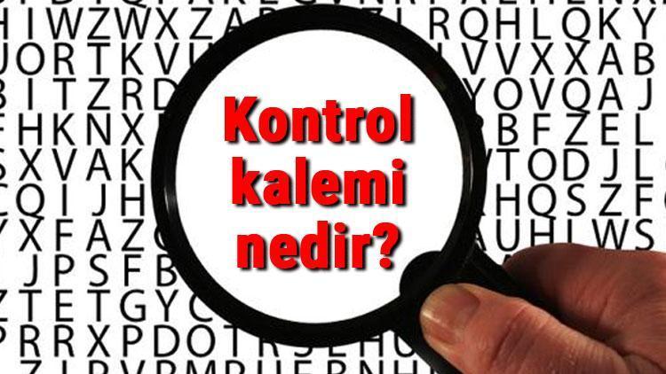 Kontrol kalemi nedir ve nasıl kullanılır Kontrol kalemi kullanımı ve çeşitleri hakkında bilgi