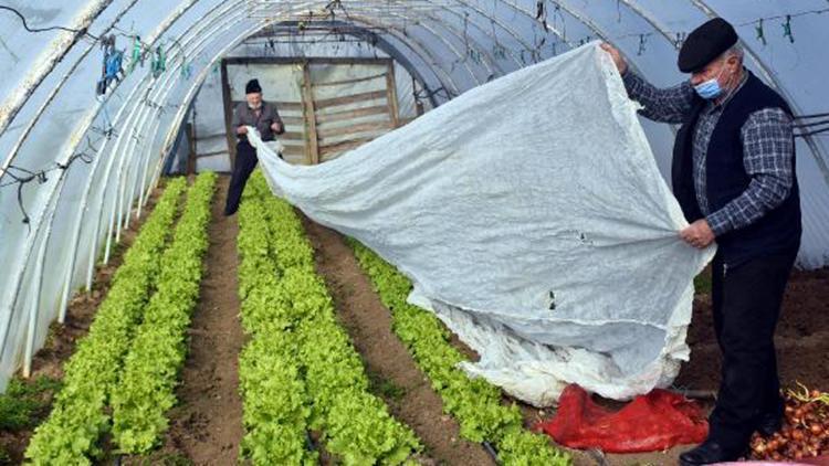 Edirnede don olayına karşı sobalı ve zirai örtülü önlem