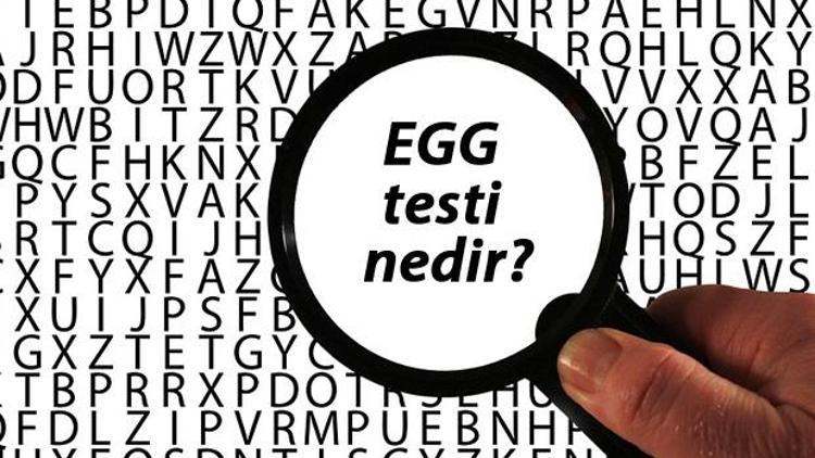 EGG testi nedir