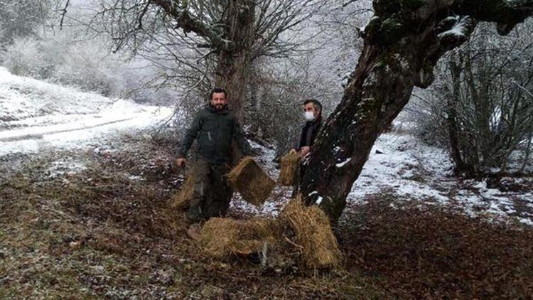 Tokatta yaban hayvanları için doğaya yem bırakıldı