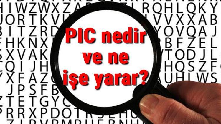 PIC nedir ve ne işe yarar PIC programlama ve örnekleri hakkında bilgi