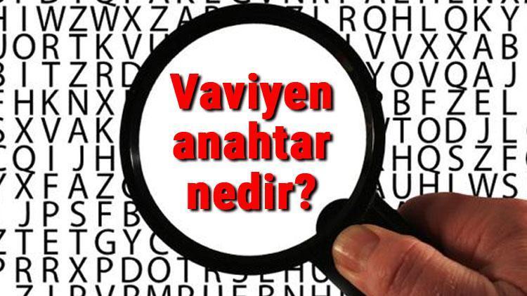 Vaviyen anahtar nedir ve nasıl çalışır Vavien anahtar bağlantısı hakkında kısaca bilgi