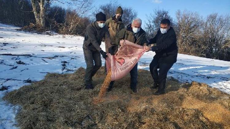 Kırklarelide yaban hayvanları için doğaya yem bırakıldı