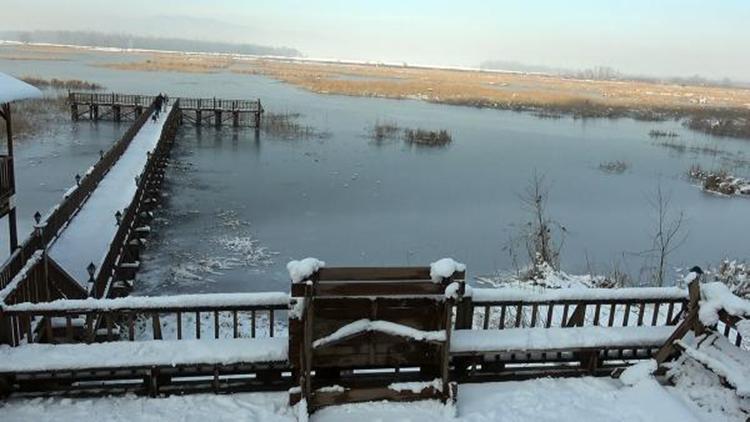Kuş cenneti Efteni Gölü, buz tuttu