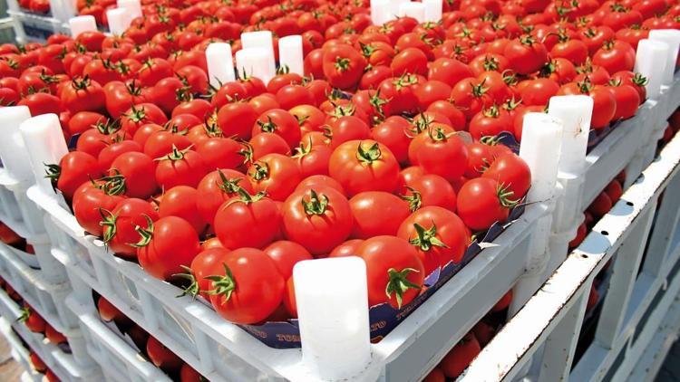 Rusya domateste kotayı 50 bin ton arttırdı