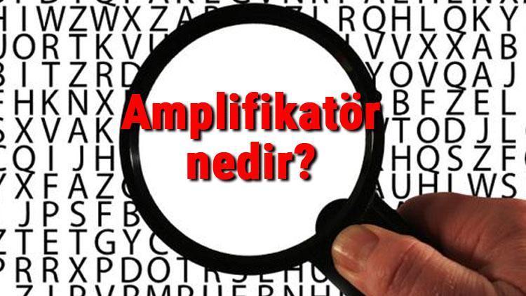 Amplifikatör nedir ve ne işe yarar Amplifikatör (yükselteç) çeşitleri ve özellikleri