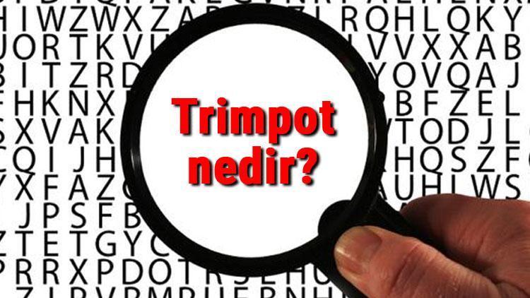 Trimpot nedir, ne işe yarar ve nerelerde kullanılır Trimpot sembolü, özellikleri ve çalışma prensibi