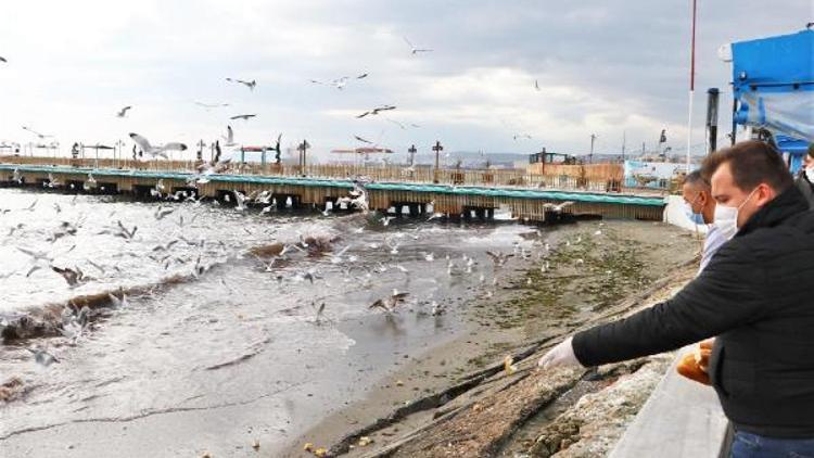 Süleymanpaşada sokaktaki canlara gönül eli uzandı