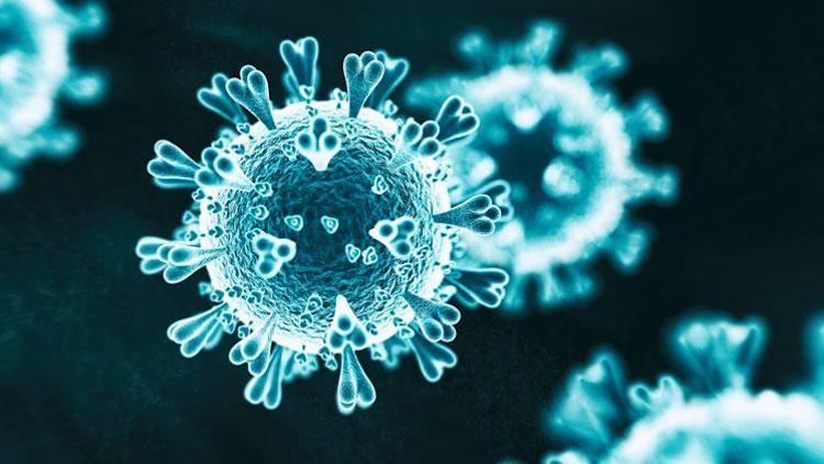 Türk doktordan yeni tür virüse hızlı test