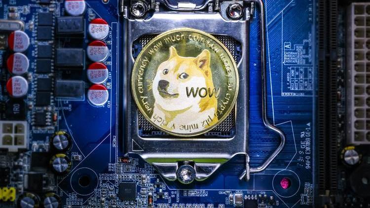 Dogecoin bir gecede yüzde 812 artış yaşadı