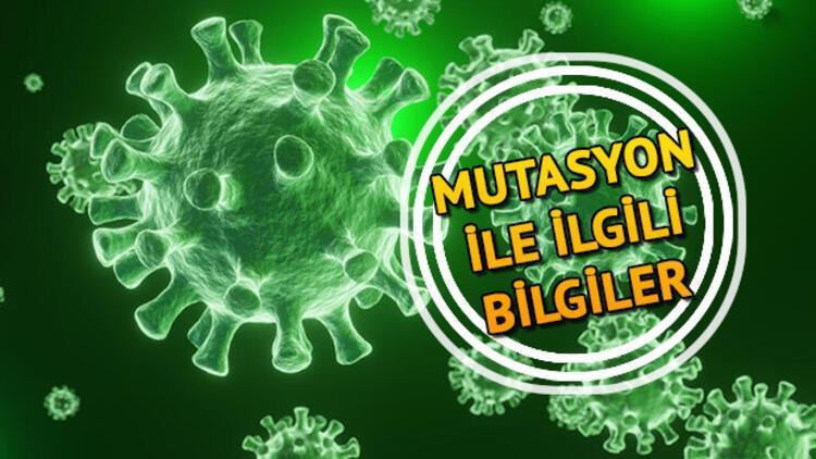 Mutasyon ne demek, mutasyon virüs kaç ilde görüldü Türkiyede de mutasyonlu virüs görüldü