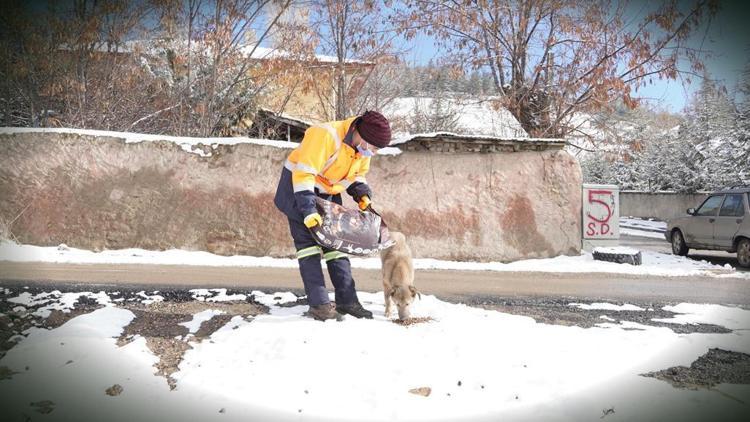 Köpekler aç kalmasın