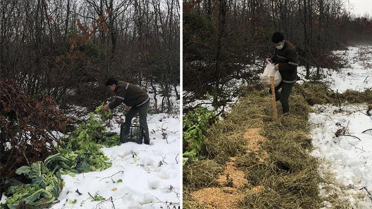 Tekirdağda yaban hayvanları için doğaya 4,5 ton yem bırakıldı