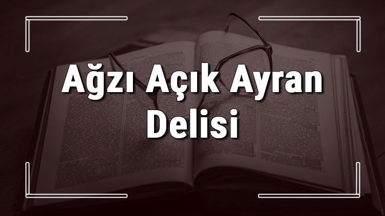 Ağzı Açık Ayran Delisi atasözünün anlamı ve örnek cümle içinde kullanımı (TDK)