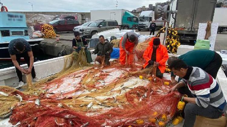 Zonguldakta balıkçının ağlarına 2 ton sarı kanat takıldı