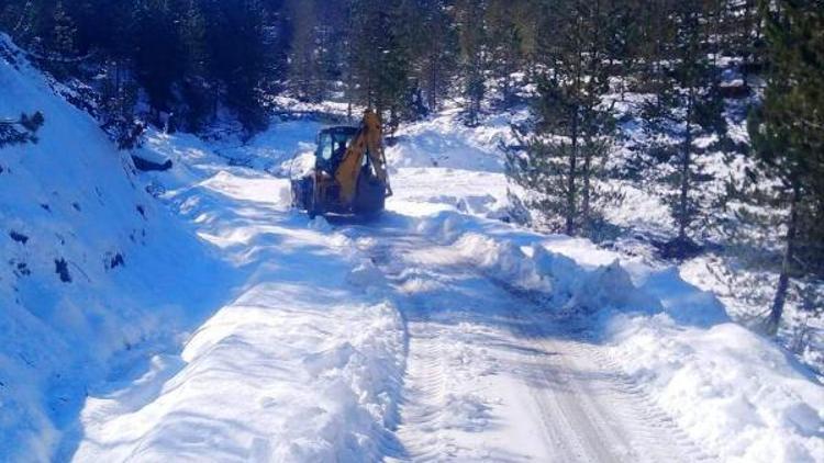 Toroslar Belediyesinin karla mücadele ekibi iş başında