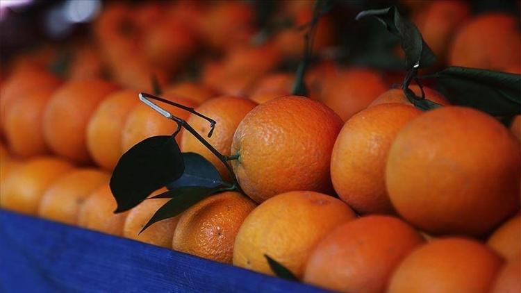 Türkiyenin portakal ihracatı salgınla yüzde 41 arttı