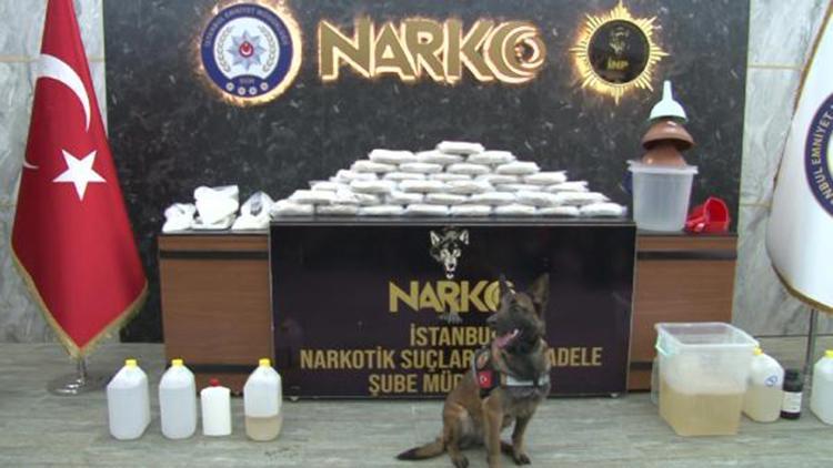 İstanbulda uyuşturucu operasyonu; narkotik köpeği bavuldaki uyuşturucuyu böyle buldu