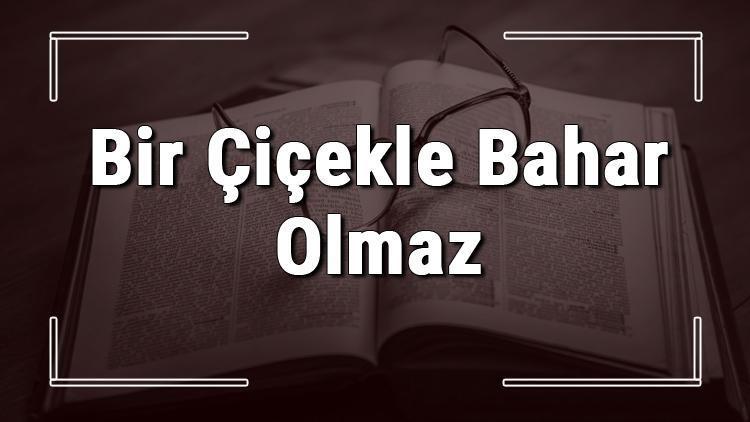 Bir Çiçekle Bahar Olmaz atasözünün anlamı ve örnek cümle içinde kullanımı (TDK)