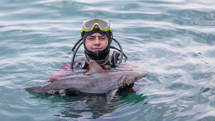Mersinde atıl durumdaki ağlara takılan köpek balığı yavrusu öldü