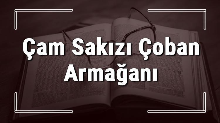 Çam Sakızı Çoban Armağanı atasözünün anlamı ve örnek cümle içinde kullanımı (TDK)