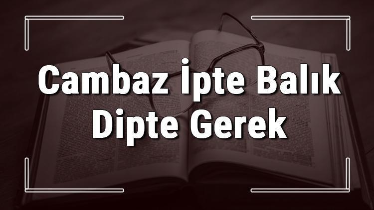 Cambaz İpte Balık Dipte Gerek atasözünün anlamı ve örnek cümle içinde kullanımı (TDK)