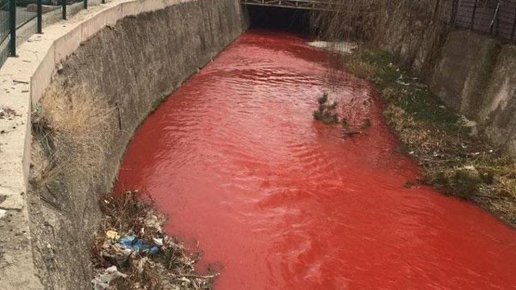 Ankara Çayı kırmızı aktı, inceleme başlatıldı