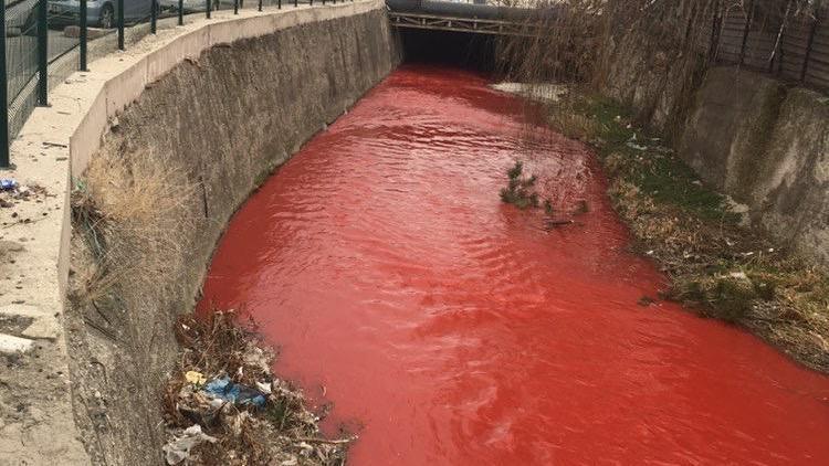 Kırmızı çaydan numune alındı