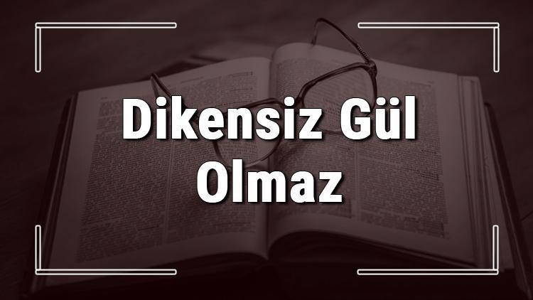 Dikensiz Gül Olmaz atasözünün anlamı ve örnek cümle içinde kullanımı (TDK)