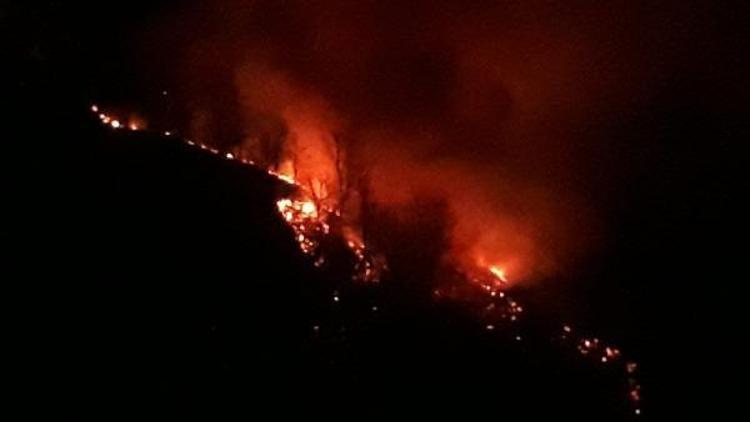 Tokatta orman yangını çıktı 7 saatte söndürüldü, 50 dönüm alan kül oldu