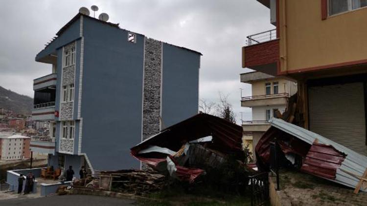 Ordu’da şiddetli rüzgar ağaçları devirdi, çatıları uçurdu