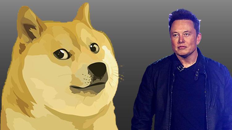Elon Musk tweet attı, DogeCoin sert düşüşe geçti