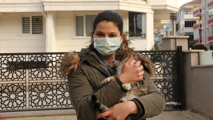 Elif, bağışlarla sokak kedilerini tedavi ettiriyor