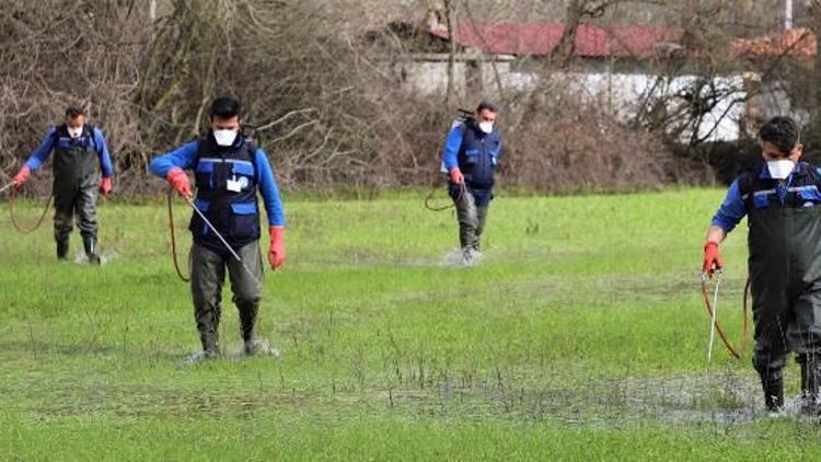 Karabağlar Yaylasında 350 hektarlık sulak alanda biyolojik vektör mücadelesi başladı