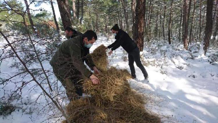 Edirne’de yaban hayvanları için doğaya 1 ton 100 kilo yem bırakıldı