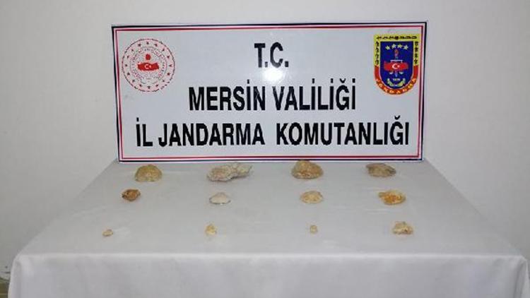 Mersin’de tarihi eser operasyonu